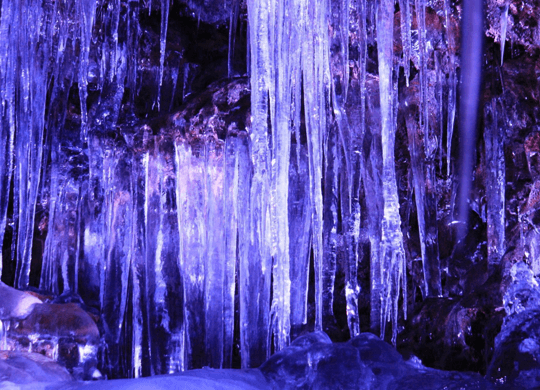 溶岩洞窟（富岳風穴・鳴沢氷穴・竜宮洞穴・西湖コウモリ穴）